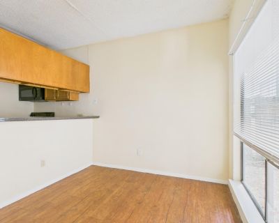 1 Bedroom 1BA 369 ft Single Family House For Rent in Austin, TX