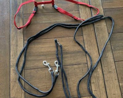 Cat harness and leash