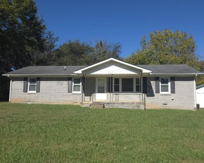 3 Bedroom 1BA 1400 ft Apartment For Rent in Smyrna, TN