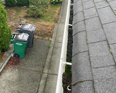 Gutter Cleaning Flat Rate $150