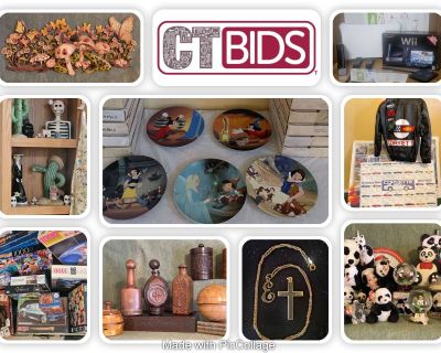 CTBIDS In-Home Online Auction I DERRINGER RD I Ends TUES-05/30, PU FRI-06/02 I 85653