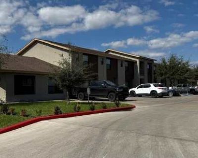 1 Bedroom 1BA 900 ft Apartment For Rent in Brownsville, TX