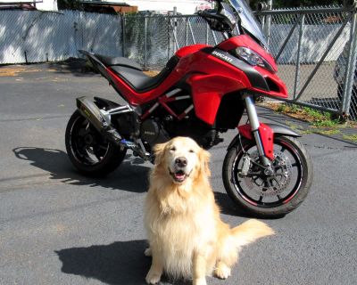 2015 Ducati Multistrada 1200 Dual Purpose New Haven, CT