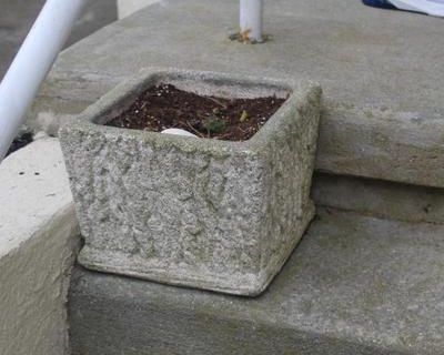 "YOU'RE GONNA NEED A BIGGER CAR" MARGATE NJ BLUE MOON ESTATE SALE