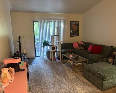 Private room with own bathroom in an apartment with 1 roomie