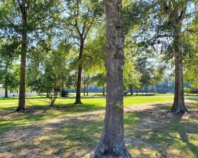 Mobile Home spaces available $350 single wide & $494 double wide 

Call or Text 979-236-9158 Email:morriskim1020@gmail.com