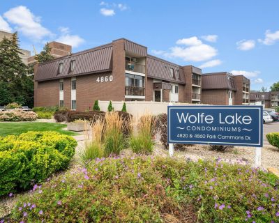 3 Bedroom 2BA 1330 ft Pet-Friendly Condo For Rent in Saint Louis Park, MN
