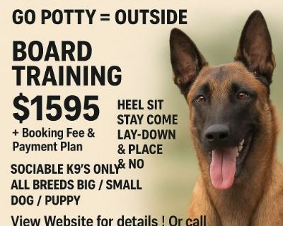 🐾 REAL WORLD DOG TRAINING – CHERRY HILL, NJ 🐾

Transform your dog in just 21 days!

21-Day Board & Train – $1,595
• Obedience: Heel • Sit • Stay • Come • Lay-Down • Place • “No”
• Guaranteed Potty Training (Outside)
• Fixes Barking, Chewing, Jumping & Whining
• Daily WhatsApp Updates
• Sociable dogs only • Vaccinations required

🎉 NOVEMBER SPECIAL – 2 Dogs for $2,095!
• Must enroll together ...