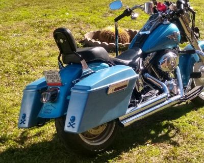 2011 Harley Davidson Farboy