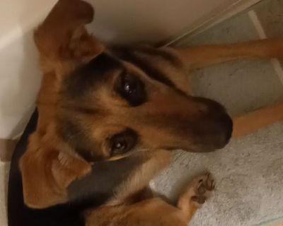 Killian - Needs a House on iROOMit or a Room