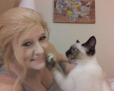 We are looking for a room to rent