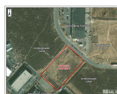 Land For Sale in Minden, NV