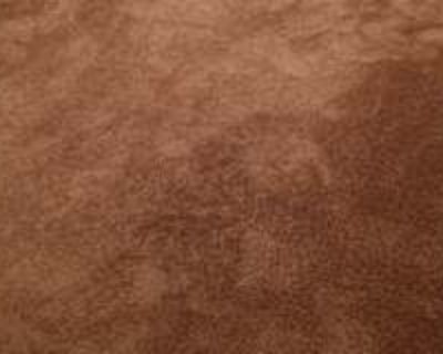 Available on: now. Unfurnished. 40+ years welcome. It s 3 bedroom with 1 bath it s nice area any one interested you can email me you can see it. Rent $600 per month Bills Included Security deposit $600 Property type House Room furnishing Unfurnished Preferred gender Females Available on Now. Nice clean have income no problem no party evry day I have work I get up early