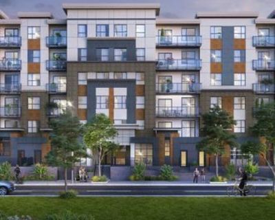 1 Bedroom 1BA 600 ft Pet-Friendly Apartment For Rent in Langley, British Columbia