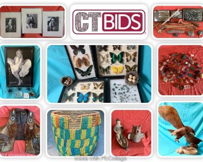 CTBIDS In-Home Online Auction: WILDS ROAD 2 / Ends 9-27, PU 9-30 / 9a to 12p / 85739