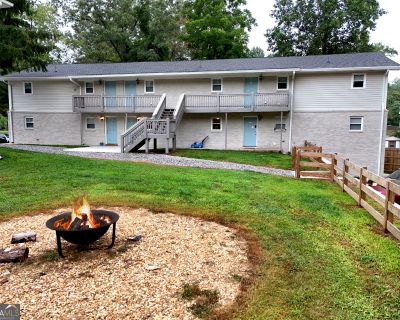 2 Bedroom 1BA 975 ft Condo For Sale in Blue Ridge, GA