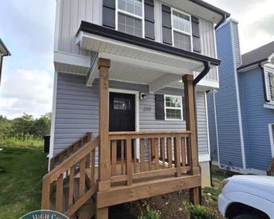 3 Bedroom 2.5BA 0 ft Pet-Friendly Apartment For Rent in Boone, NC
