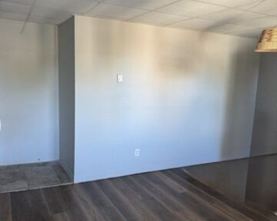 265 Dorchester St Apt 6. Bright and updated 1-bedroom apartment available close to the Andrew Square Red Line T stop - making downtown commutes quick and easy. This 3rd-floor unit offers great natural light, new floors and fresh paint, with a comfortable living area. The bedroom is generously sized with a large closet, and the bathroom has been recently refreshed. Coin-operated laundry is locat...