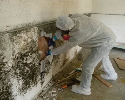 Mold Remediation Services