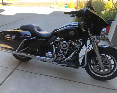 2023 Harley-Davidson Police & Fire FLHTP