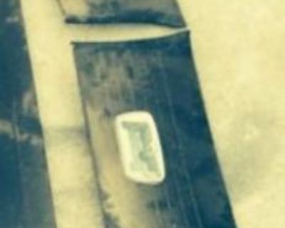 Here we have the rear panels from a 1972 square back These are in really good condition for daily driver but not show quality These are original door panels taken from a 1972 square back Look at the pictures closely you get 2 rear seat side panels The ash tray inserts are included, however the actual ashtrays are missing These are dusty from sitting on the shelf but are very good condition and ...