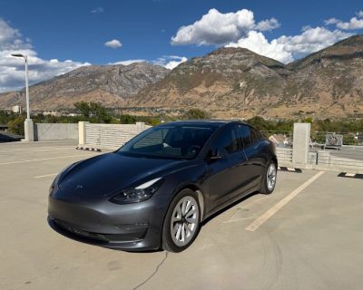2021 Tesla Model 3 Long Range Sedan 4D
