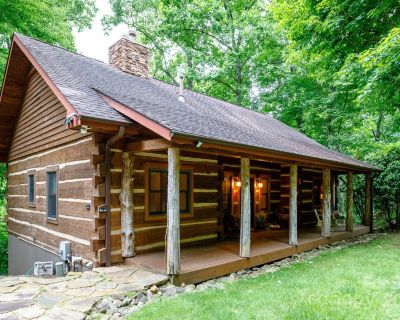 4 Bedroom 3BA 2290 ft Furnished Single Family Home For Sale in Burnsville, NC