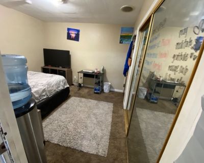 OPENS UP AUG 1ST 2020. Single room with Private entrance opening up in the College Grove area. We already have dogs. Large living room for social activities and a great private back yard as well. (Not a frat house but plenty of social area). We are working professionals looking for maturity and responsibility. The room isn't furnished but the rest of the house and property is. Utilities and ren...