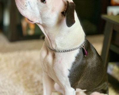 Looking for a room to rent for about 6 months