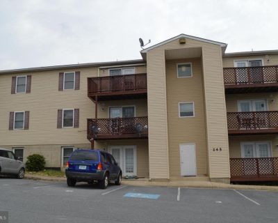 2 Bedroom 2BA 1195 ft Apartment For Rent in Strasburg, VA