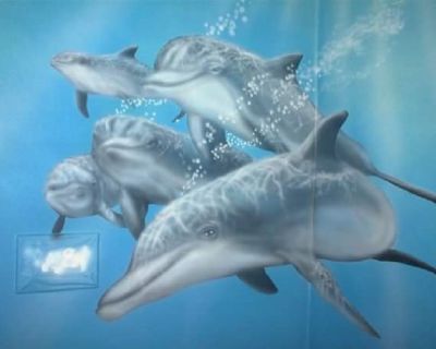 Professional Muralist, Custom Painting, Theming