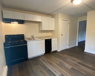 1 Bedroom 1BA 550 ft Pet-Friendly Apartment For Rent in Urbana, IL