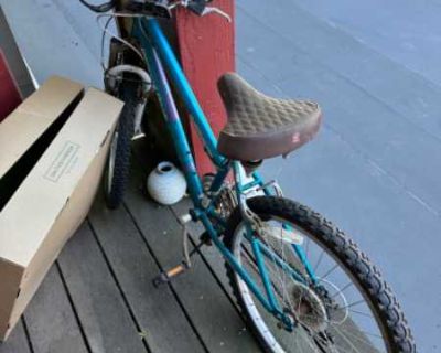 Rusty Old Bike