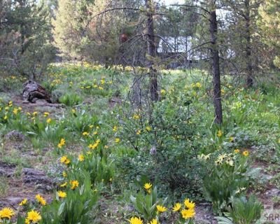 Land For Sale in ISLAND PARK, ID