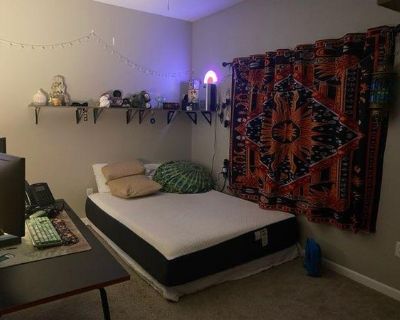 Jessica (Has an Apartment) on iROOMit. Room in the 3 Bedroom 1BA Apartment...