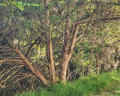 3 Bedroom 2BA Single Family Home For Sale in Winston-Salem, NC