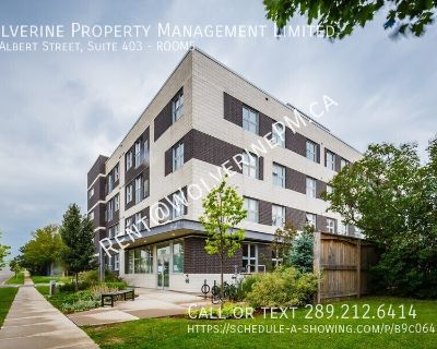 392 Albert Street, Suite 403. Welcome to 392 Albert Street, where student living meets a sense of comfort, connection, and possibility. This 5-bedroom student condo is more than just a roof over your head -- it's the backdrop to late-night brainstorming sessions, shared dinners that turn into inside jokes, and the quiet moments of calm between the buzz of campus life. Each room offers space to ...