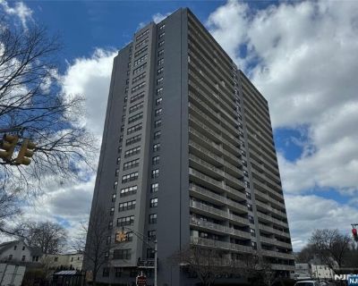 285 Aycrigg Ave Apt 21D. Experience the joy of luxury high rise living at Passaic Park's Carlton Tower. Spectacular, move-in ready 21st floor 1-bedroom unit with new vinyl flooring in main area and recently installed dishwasher. The unit offers tons of light during the day and quiet respite in the evening. The layout includes a spacious living room/dining area, plenty of closets for storage, an...