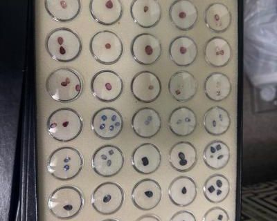 A Must-See Whole-House Estate Sale in Baldwin Hills!