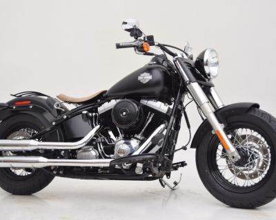 2013 Harley-Davidson FLS - Softail Slim