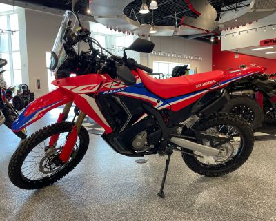 2023 Honda CRF300L Rally