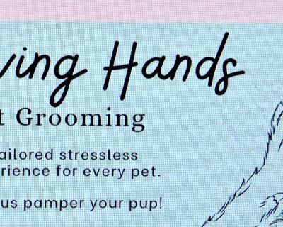 ^~^DOG. GROOMING^~^Hammond, Indiana^~^