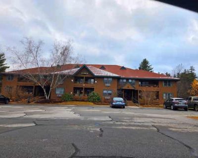 1 Bedroom 2BA 686 ft Condominium For Sale in WOODSTOCK, NH