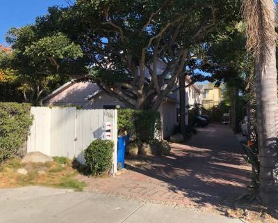 5 Bedroom 3BA 0 ft Apartment For Rent in Isla Vista, CA