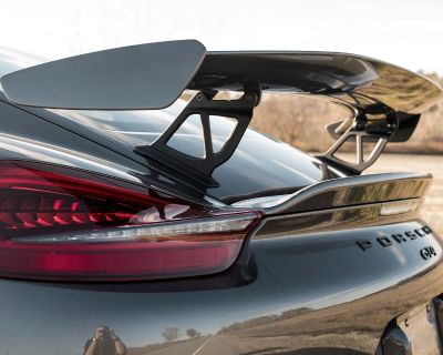 OEM 981 GT4 Wing and Uprights