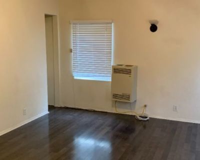 1 Bedroom 300 ft Apartment For Rent in Los Angeles, CA