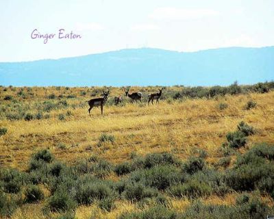 Land For Sale in CASPER, WY