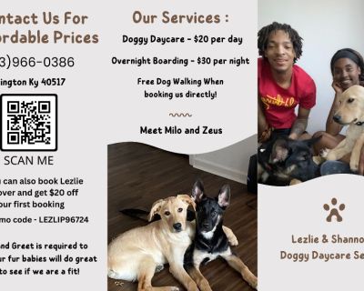Doggy Daycare Service
