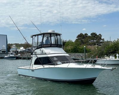 1990 Albemarle 325 Convertible