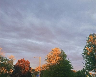 Female Seeking Room in Joliet, IL